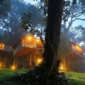 nature-zone-jungle-resort.kerala-hotels.net/